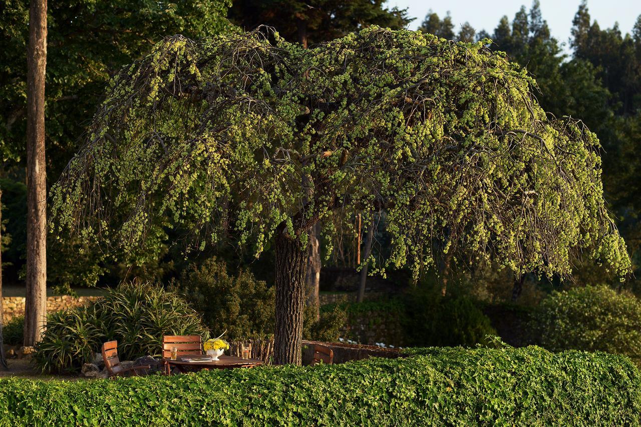 Convento Inn And Artists Residency Chamusca  エクステリア 写真