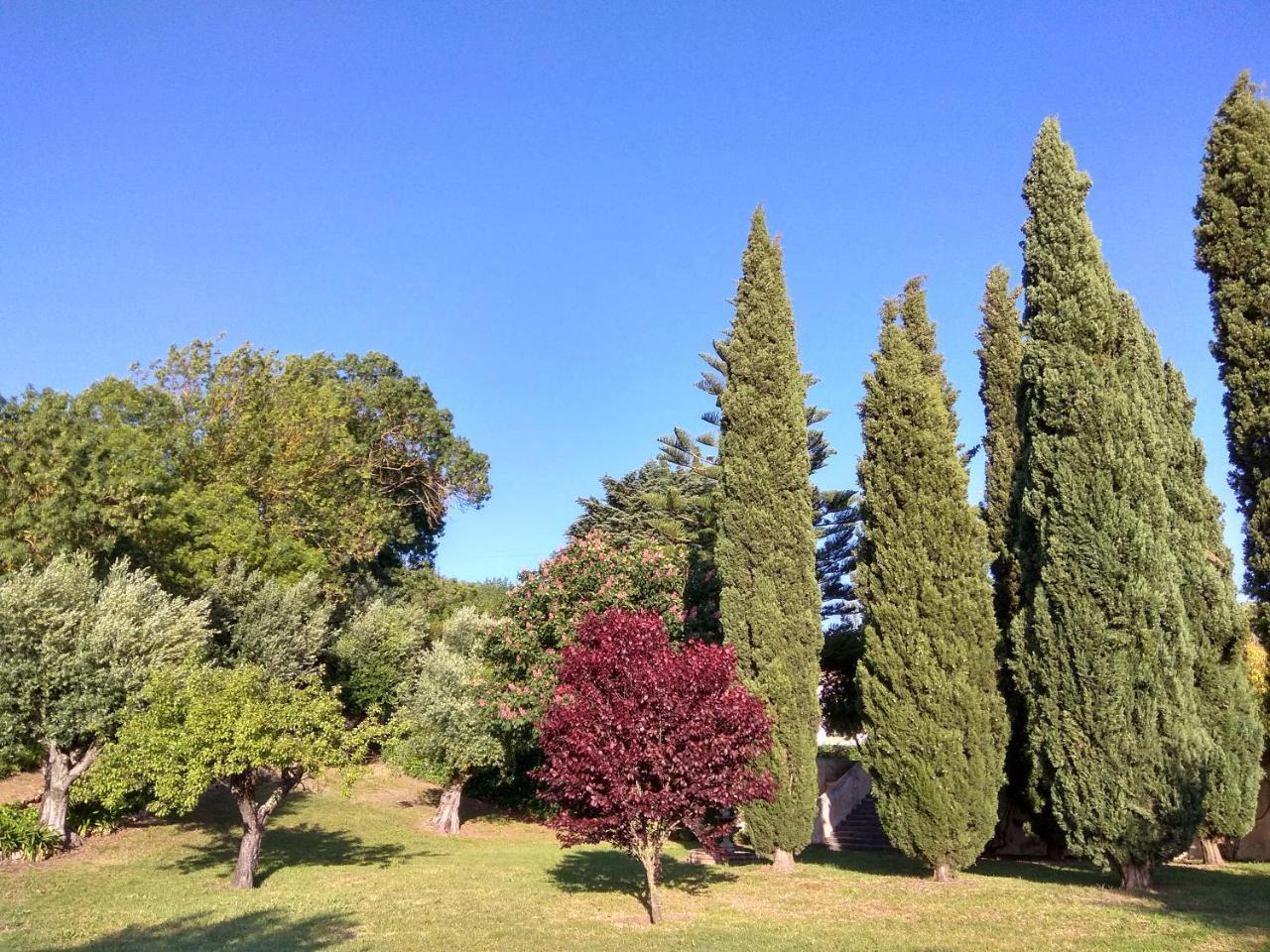 Convento Inn And Artists Residency Chamusca  エクステリア 写真